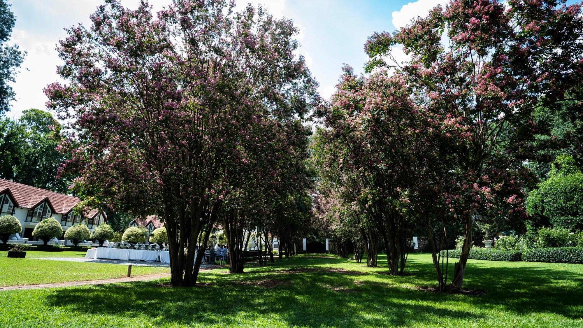 River Meadow Manor Centurion Zewnętrze zdjęcie